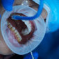 Soins Dentaires dentisterie générale